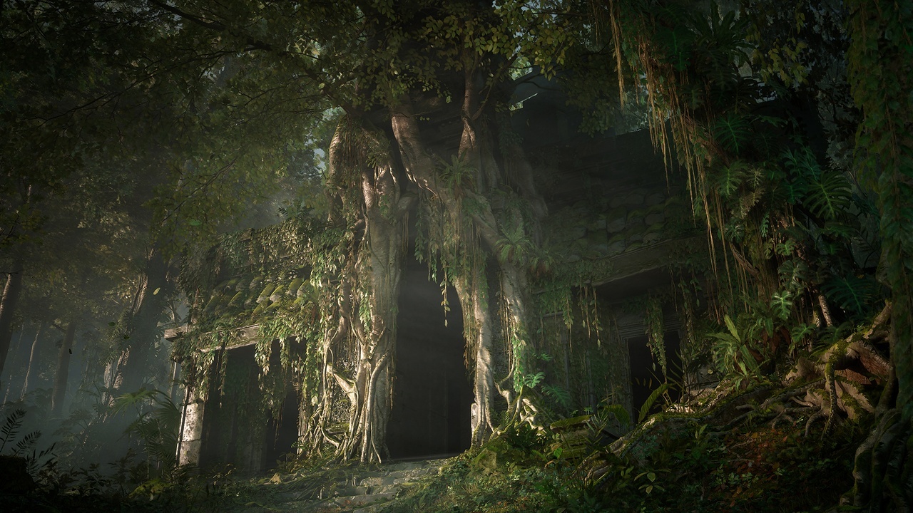 DeepInTheForest 封面