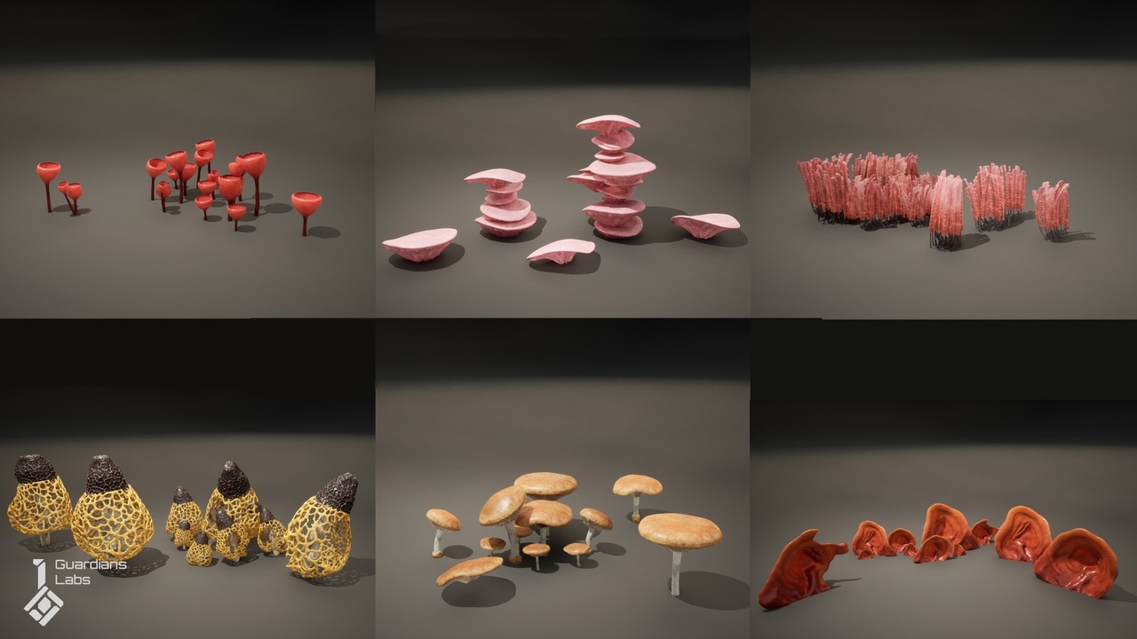 Forest Fungi - Mushroom Pack 封面