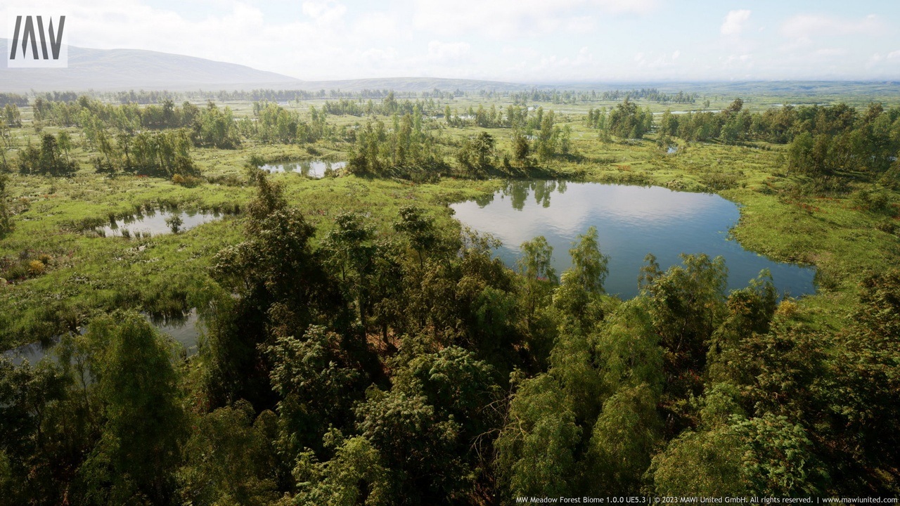 MW Meadow Forest Trees Biome 封面