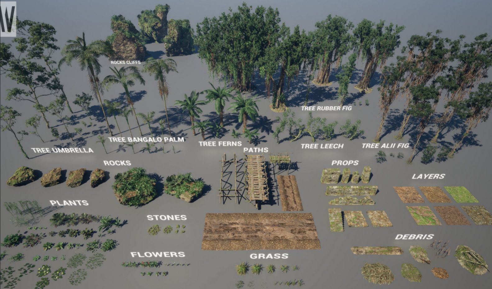 MW Tropical Rainforest Trees Biome 封面