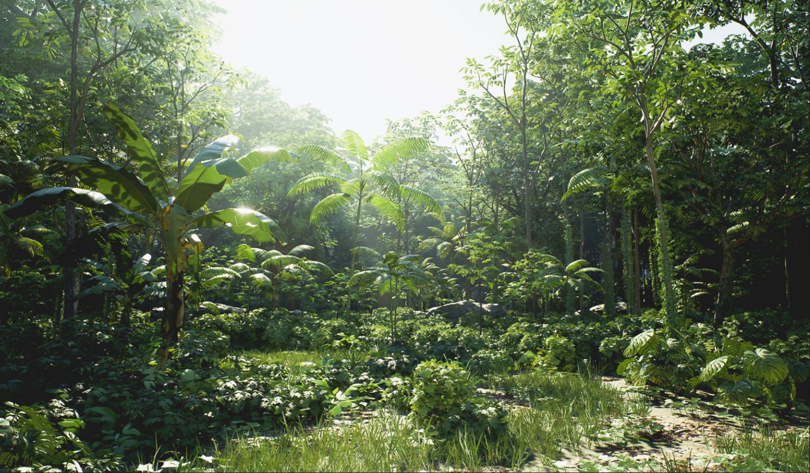 RainforestPack 封面