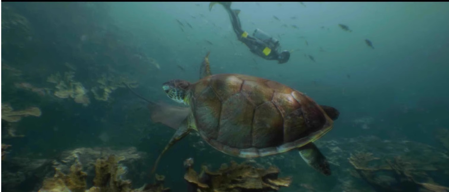 Underwater Blueprint V3 封面